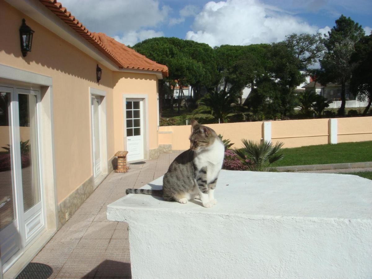 Casa De Hospedes Flor Do Jardim Malveira Zewnętrze zdjęcie