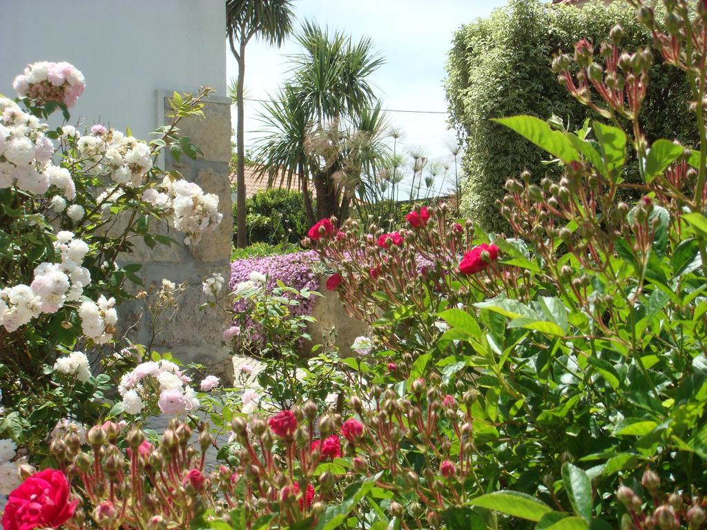 Casa De Hospedes Flor Do Jardim Malveira Zewnętrze zdjęcie